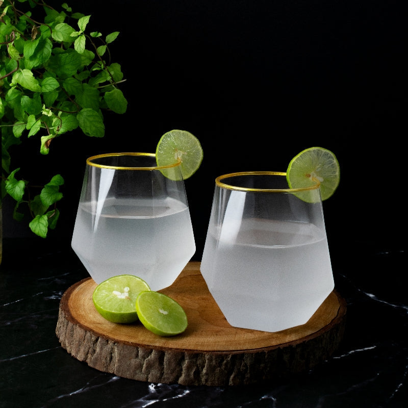 The Sipper's Whisper Frosted Glass (Set of 2)